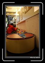 IMG_6261 * 608 x 908 * (237KB)