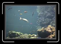 IMG_6286 * 892 x 608 * (227KB)