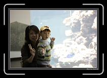 IMG_6287 * 892 x 608 * (240KB)