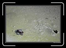 IMG_6294 * 892 x 608 * (232KB)