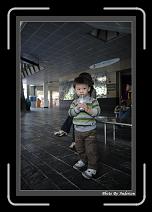 IMG_6312 * 608 x 908 * (246KB)