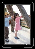IMG_6508-2 * 608 x 908 * (219KB)