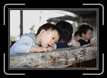 IMG_6571 * 892 x 608 * (213KB)