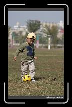 IMG_6708 * 566 x 910 * (222KB)