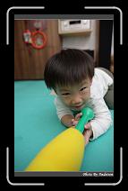 IMG_7350 * 566 x 910 * (220KB)