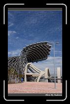 IMG_7364 * 566 x 910 * (245KB)