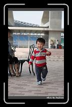 IMG_7385 * 566 x 910 * (244KB)