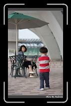 IMG_7404 * 566 x 910 * (208KB)