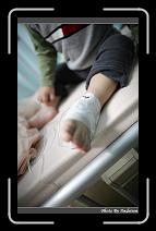 IMG_7739 * 566 x 910 * (222KB)