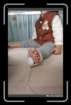 IMG_7797 * 566 x 910 * (249KB)