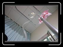 IMG_7799 * 850 x 608 * (242KB)