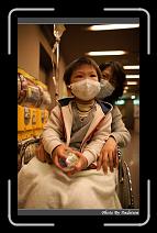 IMG_7819 * 566 x 910 * (222KB)