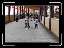 IMG_8114 * 850 x 608 * (241KB)