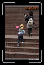 IMG_8144 * 566 x 910 * (234KB)