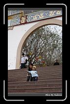 IMG_8149 * 566 x 910 * (245KB)