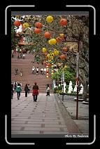 IMG_8158 * 566 x 910 * (244KB)