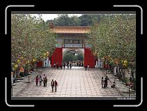 IMG_8166 * 850 x 608 * (245KB)
