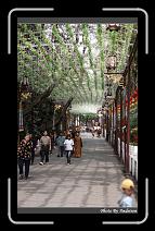 IMG_8194 * 566 x 910 * (249KB)