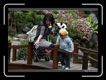 IMG_8202 * 850 x 608 * (249KB)