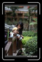 IMG_8206 * 566 x 910 * (249KB)