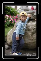 IMG_8221 * 566 x 910 * (232KB)