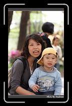 IMG_8234 * 566 x 910 * (237KB)