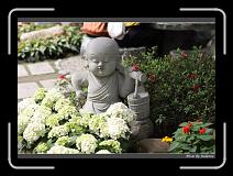 IMG_8238 * 850 x 608 * (246KB)