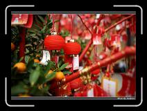 IMG_8269 * 850 x 608 * (221KB)