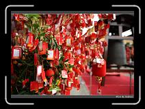 IMG_8270 * 850 x 608 * (245KB)