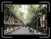 IMG_8298 * 850 x 608 * (244KB)