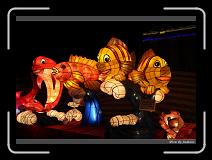 IMG_8798 * 850 x 608 * (243KB)
