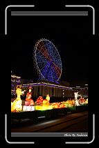 IMG_8806 * 566 x 910 * (227KB)