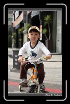 IMG_8900 * 566 x 910 * (237KB)