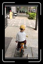 IMG_8904 * 566 x 910 * (229KB)