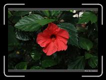 IMG_8914 * 850 x 608 * (226KB)