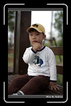 IMG_8951 * 566 x 910 * (240KB)
