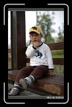 IMG_8955 * 566 x 910 * (248KB)