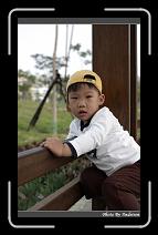 IMG_8985 * 566 x 910 * (223KB)