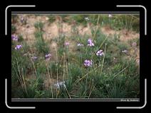 IMG_8991 * 850 x 608 * (230KB)
