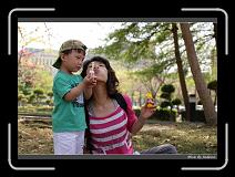 IMG_9062 * 850 x 608 * (234KB)