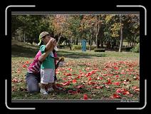 IMG_9070 * 850 x 608 * (246KB)