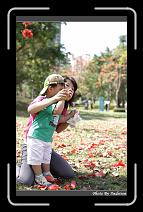 IMG_9078 * 566 x 910 * (243KB)