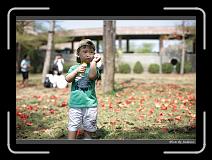 IMG_9084 * 850 x 608 * (234KB)