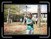 IMG_9085 * 850 x 608 * (220KB)