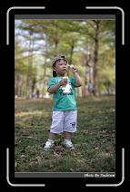 IMG_9101 * 566 x 910 * (237KB)