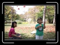 IMG_9113 * 850 x 608 * (237KB)