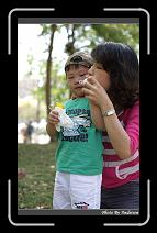 IMG_9141 * 566 x 910 * (218KB)