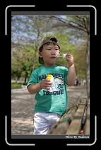 IMG_9184 * 566 x 910 * (246KB)