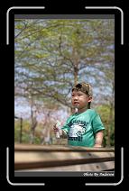 IMG_9191 * 566 x 910 * (243KB)