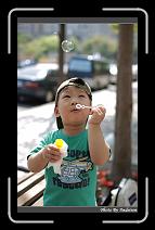 IMG_9219 * 566 x 910 * (230KB)